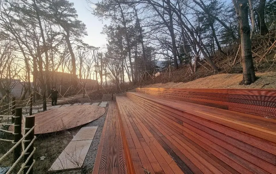 Sekyung High School forest, 2023–24  Designed and built by Urban Jungle