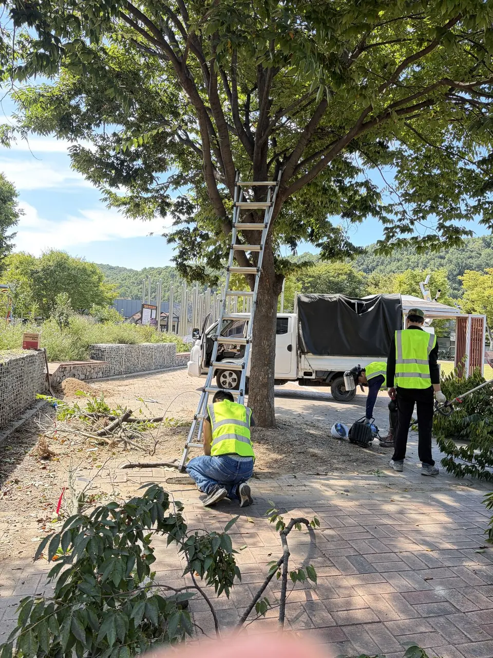 Heyri, Paju · autumn 2026 — Tree pruning and seasonal garden care with the crew.